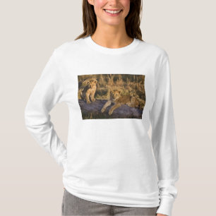 Leeuwenwelpen op stam t-shirt