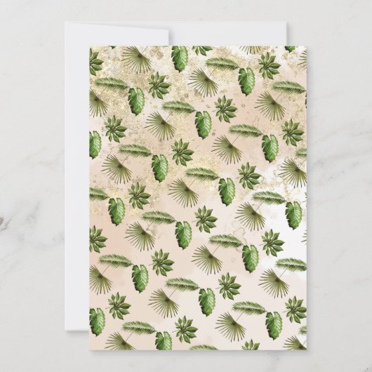 Leeuwenwelpje Een koningsje is op weg naar het Bab Kaart (Achterkant)