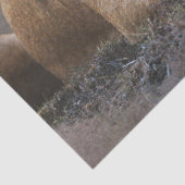 Leeuwenwelpje ontkoppeling tissuepapier (Detail)