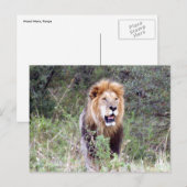 leeuwerik briefkaart (Voorkant / Achterkant)