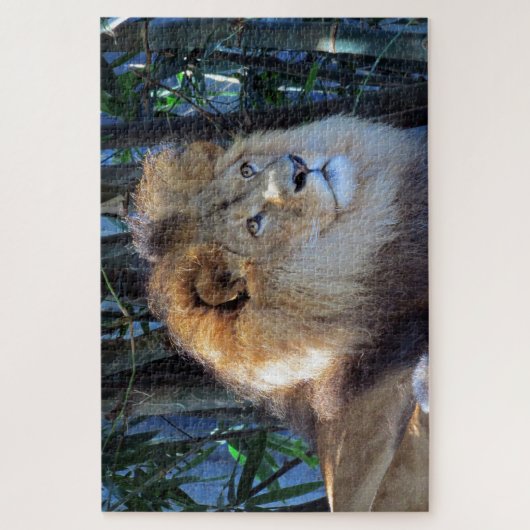 leeuwerik legpuzzel (Verticaal)