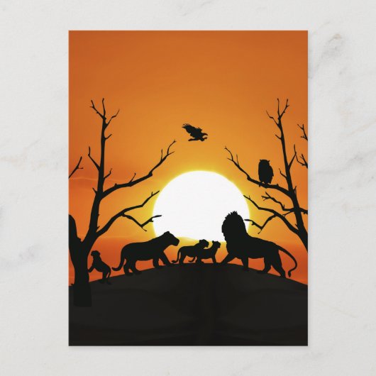 Leeuwfamilie in het zonsondergang in Afrika Briefkaart (Voorkant)