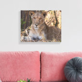 Leeuwin canvas print (Insitu (Woonkamer))