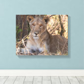 Leeuwin canvas print (Insitu (Houten vloer))