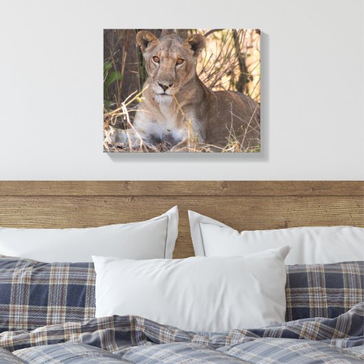 Leeuwin canvas print (Insitu (Slaapkamer))