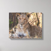 Leeuwin canvas print (Voorkant)