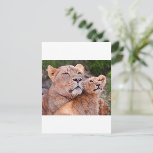 Leeuwin en leeuwenwelp rusten voor de jacht briefkaart (Staand voorkant)