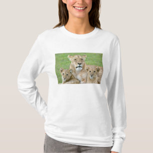 Leeuwin en twee welpen, Oost-Afrika, Tanzania, T-shirt