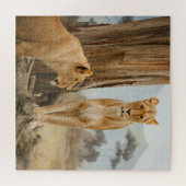 Leeuwin Heerst Legpuzzel (Horizontaal)