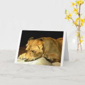 Leeuwin Kaart (Gele Bloem)