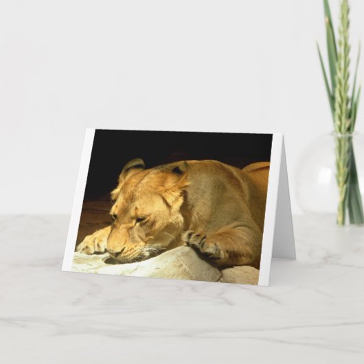 Leeuwin Kaart (Voorkant)