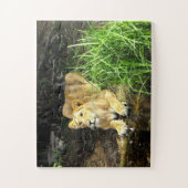 Leeuwin Legpuzzel (Verticaal)