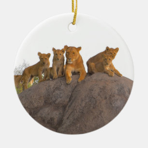 Leeuwin met welpen, de Serengeti. Keramisch Ornament