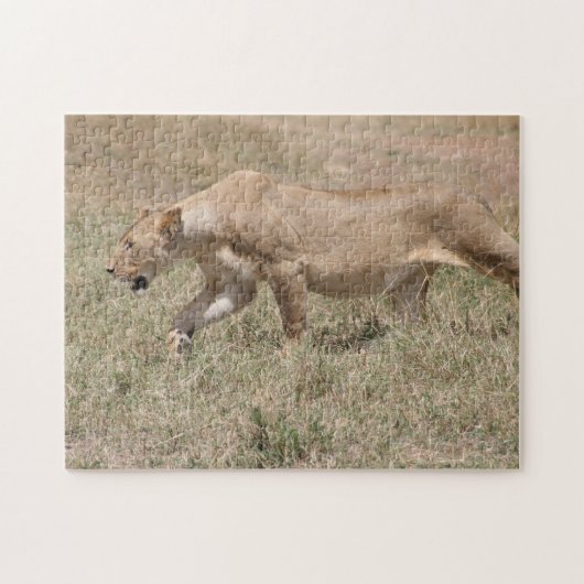 leeuwin sluipt legpuzzel (Horizontaal)
