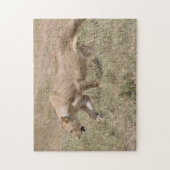 leeuwin sluipt legpuzzel (Verticaal)