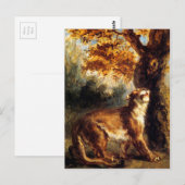 Leeuwin stalkt haar briefkaart (Voorkant / Achterkant)