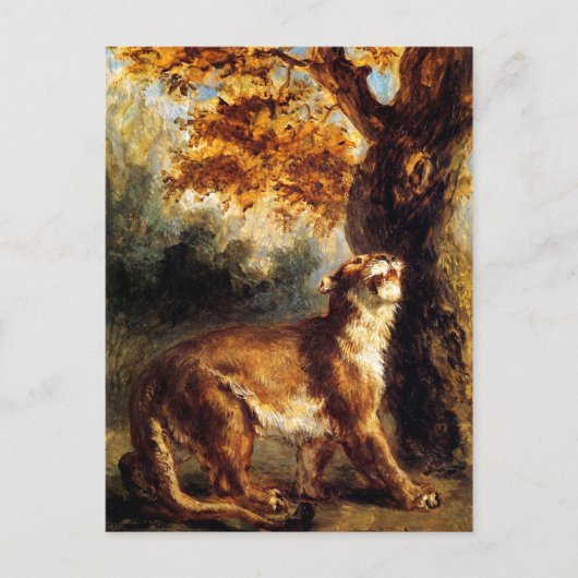 Leeuwin stalkt haar briefkaart (Voorkant)