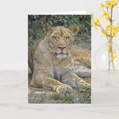 Leeuwin Wenskaart Kaart (Gele Bloem)