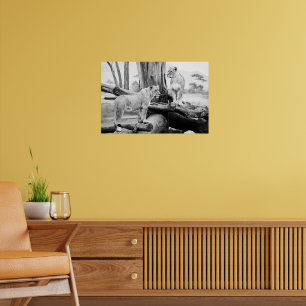 Leeuwin Wildlife Zwart & Wit Fotografie Kunst Poster