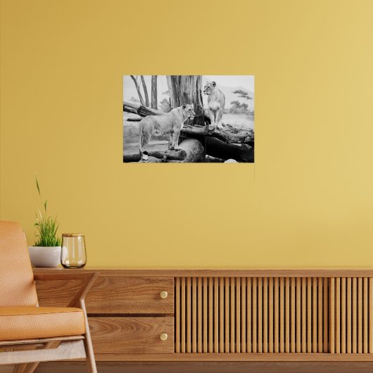Leeuwin Wildlife Zwart & Wit Fotografie Kunst Poster (Woonkamer 2)