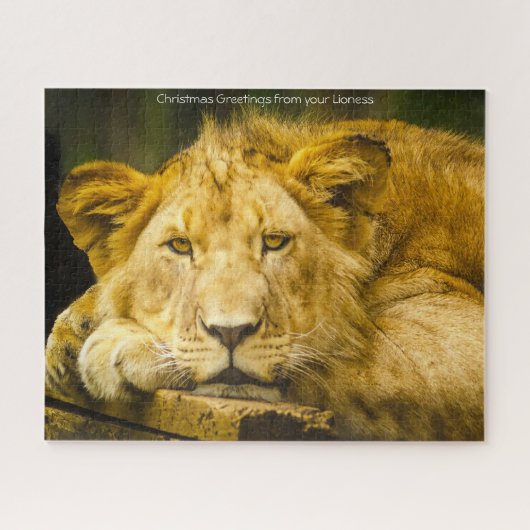 Leeuwinnen Grote Katachtigen. Legpuzzel (Horizontaal)