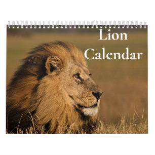Leeuwkalender 2027 kalender