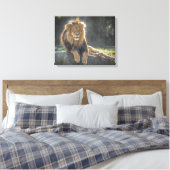 Leeuwkoning van het Oerwoud Canvas Afdruk (Insitu (Slaapkamer))