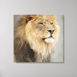 Leeuwkoning van het Oerwoud Canvas Afdruk