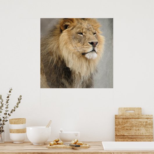 Leeuwkoning van het Oerwoud Poster (Keuken)