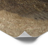 Leeuwkoning van het Oerwoud Poster (Hoek)