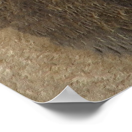 Leeuwkoning van het Oerwoud Poster (Hoek)