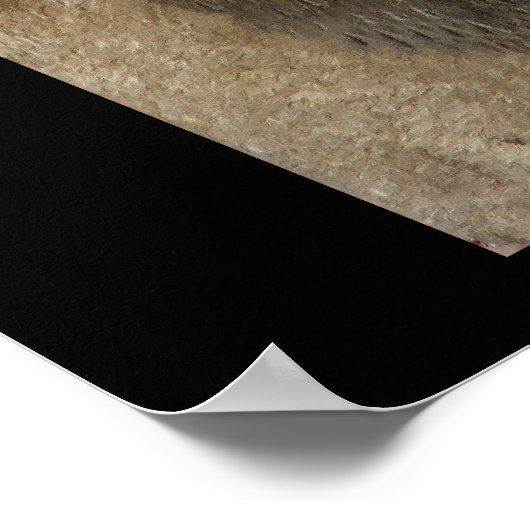 Leeuwkoning van het Oerwoud Poster (Hoek)