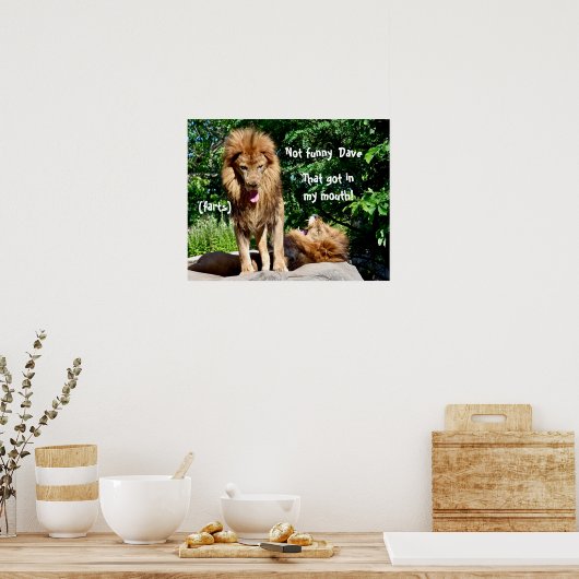 Leeuwschilfers Poster (Keuken)