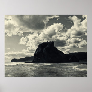 leeuwse rots bij piha , redux poster