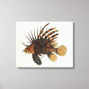 Leeuwvis Vis, Vintage Mariene Oceaan Leven Dier Canvas Afdruk