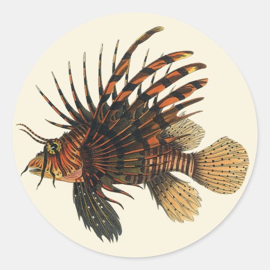 Leeuwvis Vis, Vintage Mariene Oceaan Leven Dier Ronde Sticker (Voorkant)