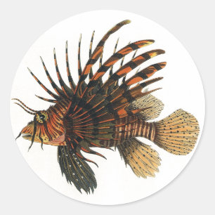 Leeuwvis Vis, Vintage Mariene Oceaan Leven Dier Ronde Sticker