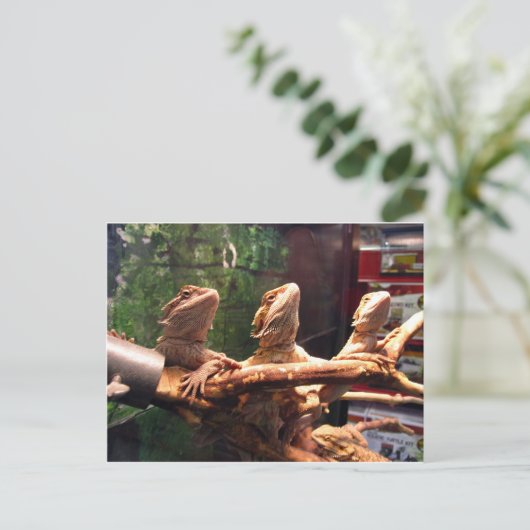 Leezard Trio Briefkaart (Staand voorkant)