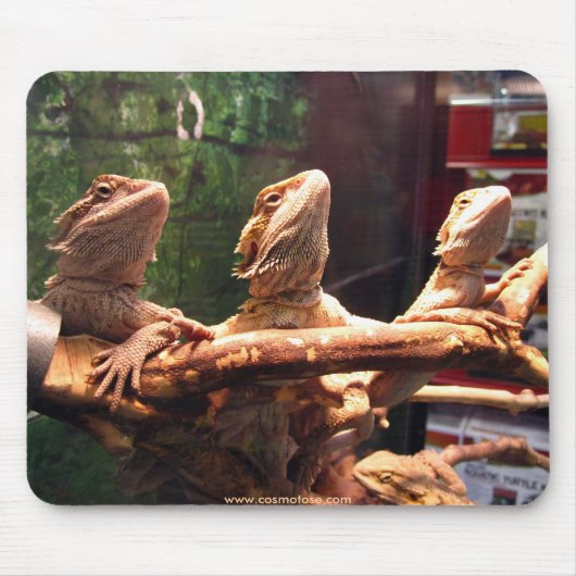 Leezard Trio Muismat (Voorkant)