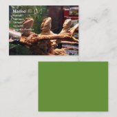 Leezerds Visitekaartjes (Voorkant / Achterkant)