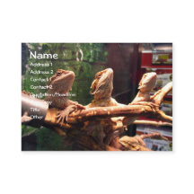 Leezerds Visitekaartjes