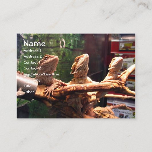 Leezerds Visitekaartjes (Voorkant)