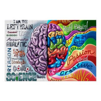 Left and right side of the brain perfect poster