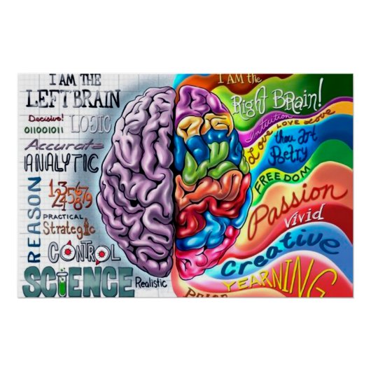 Left and right side of the brain perfect poster (Voorkant)