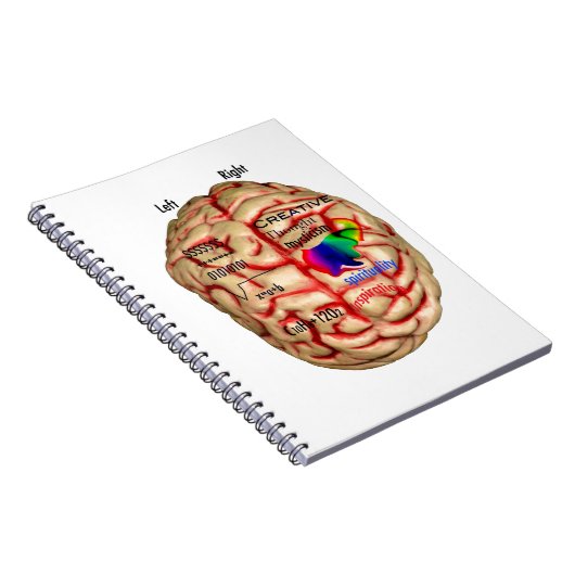 Left & Right Side of Brain Notitieboek (Rechterzijde)