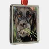 Lefty & The Vole Ornament (Rechts)