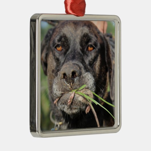 Lefty & The Vole Ornament (Rechts)