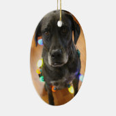 Lefy + Lights Hoiday Ornament (Rechts)