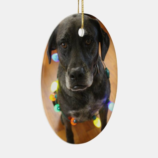 Lefy + Lights Hoiday Ornament (Rechts)