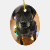 Lefy + Lights Hoiday Ornament (Achterkant)